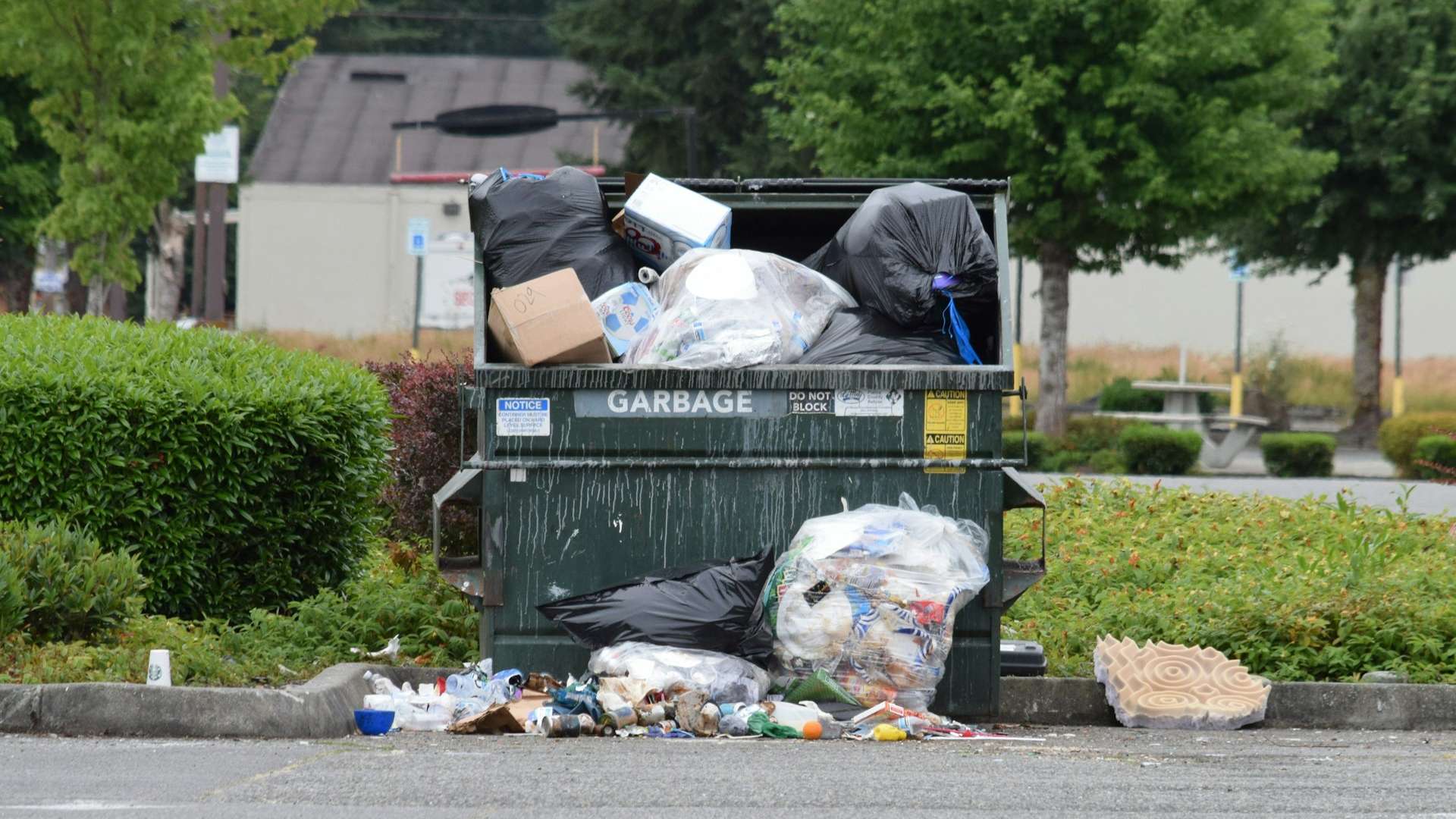 Junk removal services in Chino, CA